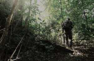 SAJAHEBOH.COM - Ilmu Hutan Yang Wajib Tahu Sebelum Masuk Hutan. Hutan Bukan Tempat Untuk Main Redah Sesuka Hati