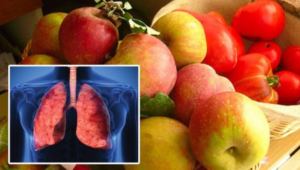 SAJAHEBOH.COM - Dua Jenis Buah Membantu Memulihkan Paru-paru Yang Rosak Mengikut Kajian Saintis