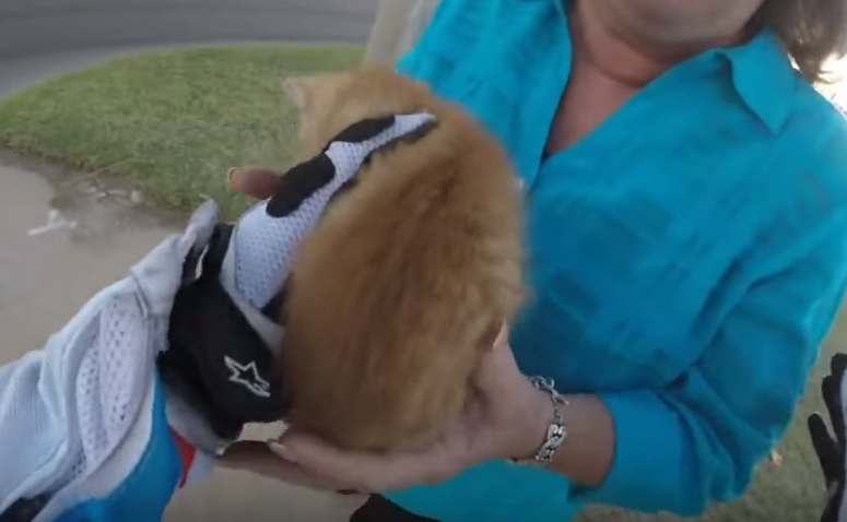 SAJAHEBOH.COM - Rider Wanita Menaiki Superbike Menyelamatkan Anak Kucing Ketakutan Di Tengah Jalan