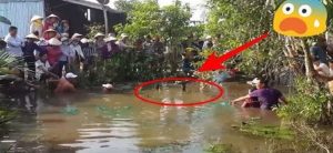 SAJAHEBOH.COM - Heboh Sekampung! Penangkapan Raksasa Air Tawar Buatkan Penduduk Kampung Terlopong Melihat Dengan Mata Mereka