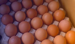 sajaheboh.com - Puding Buih Yang Menggunakan Telur Tamat Tempoh Jadi Punca 99 Orang Keracunan Makanan