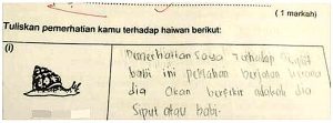 sajaheboh.com - Koleksi Jawapan Kertas Peperiksaan Budak-budak Zaman Sekarang Yang Melucukan