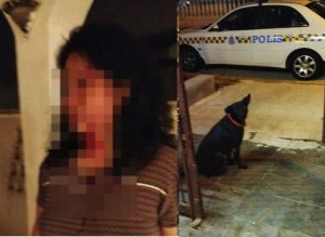 sajaheboh.com - Wanita Nyaris DIR0G0L Perompak Diselamatkan Seekor Anjing