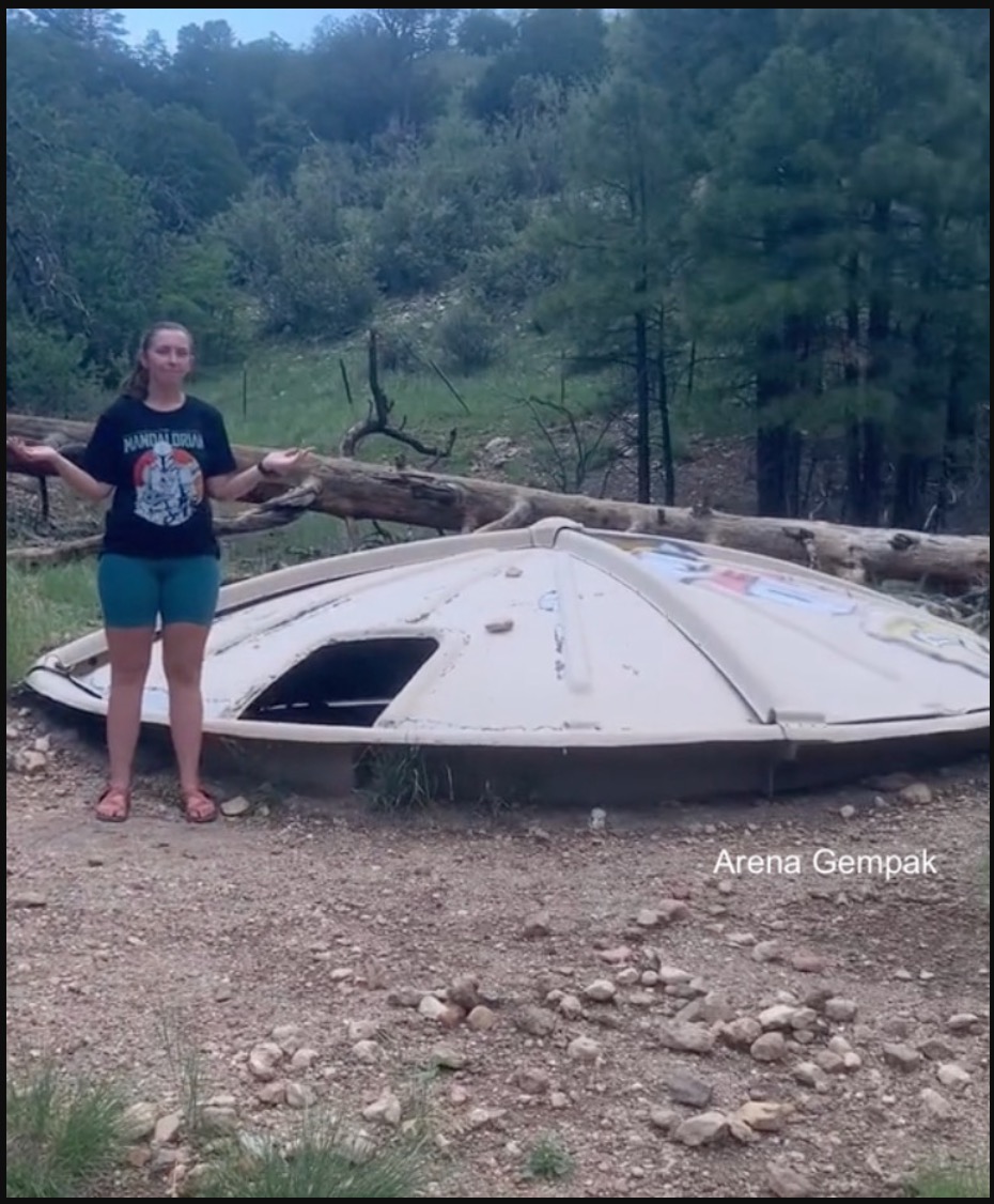 Wanita Mendakwa Piring Terbang UFO Mendarat Di Belakang Rumahnya