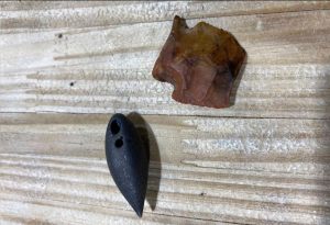 Penemuan Bersejarah Artifak Kuno Berusia 6000 Tahun Dijumpai Dalam Perut Buaya